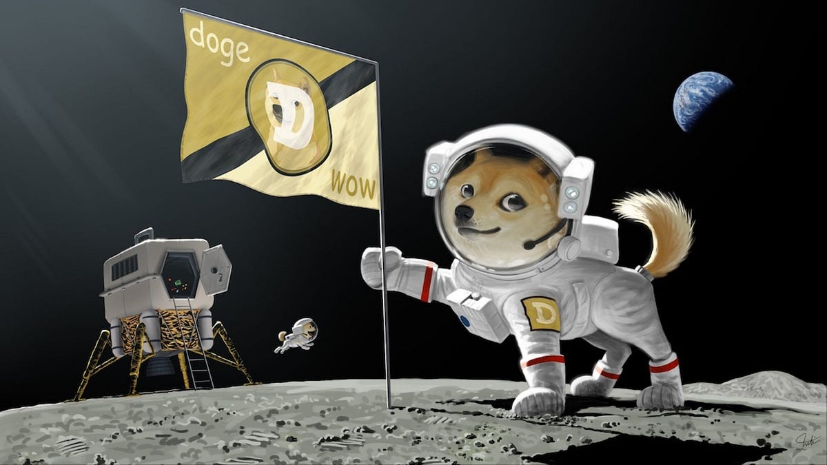 Whaf If Dogecoin Goes to the Moon? | by The Writing Zone |  DataDrivenInvestor