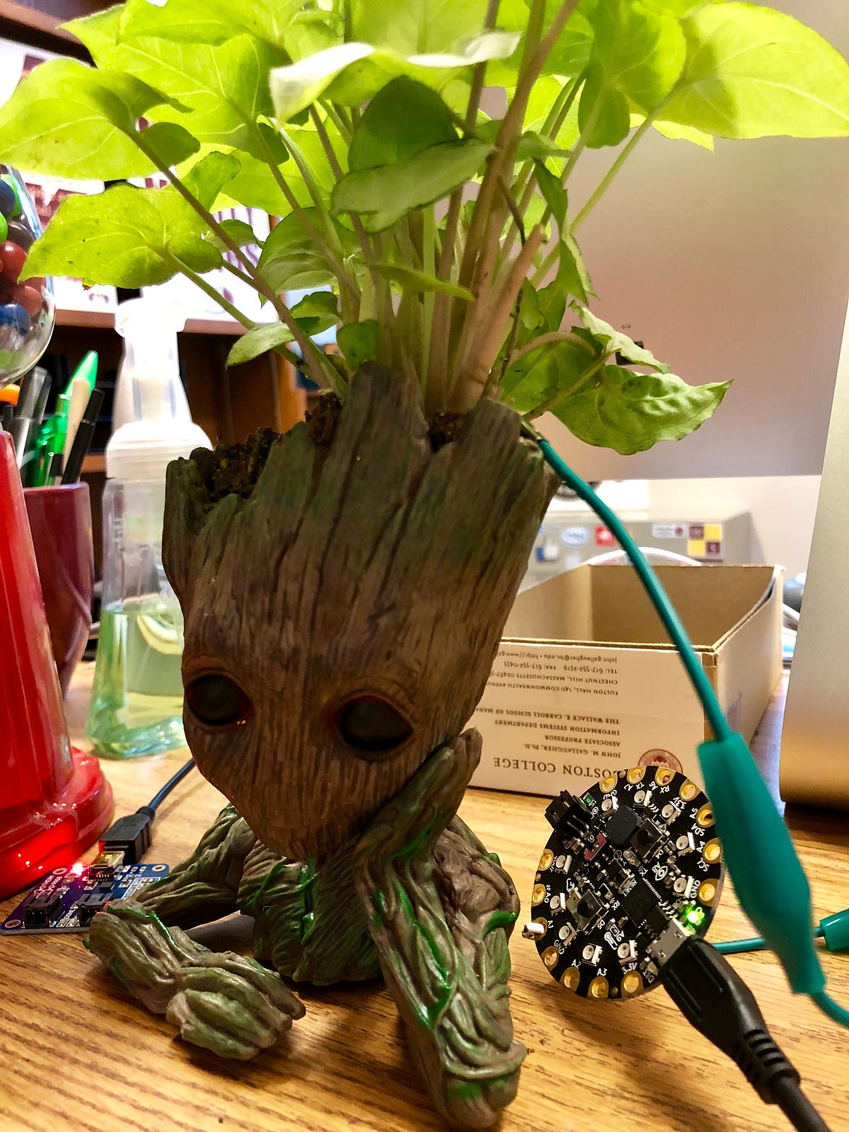 groot interactive talking toy amazon