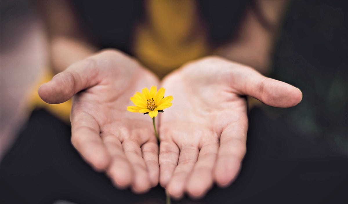 What Are You Giving for What You Get?