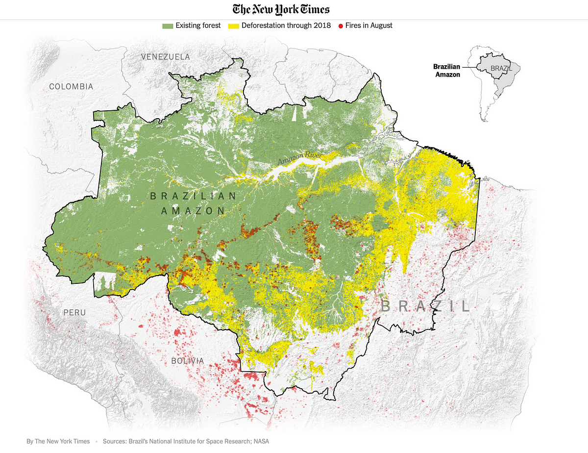 Map showing forested vs. recently deforested land in the Amazon basin and the concentration of fires around the forest edge