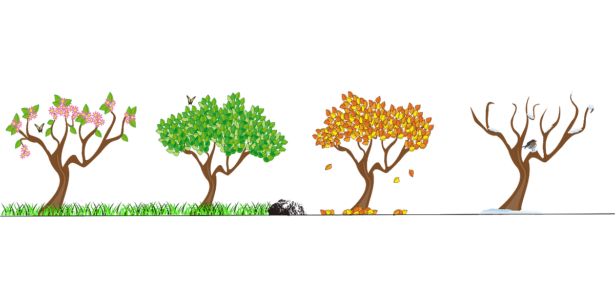 How to model a time series through a SARIMA model