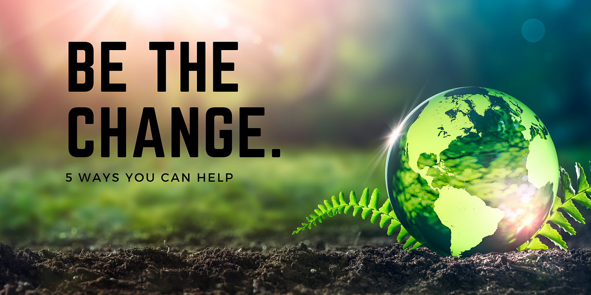 How to Make a Difference in the World 5 Ways You Can Help by