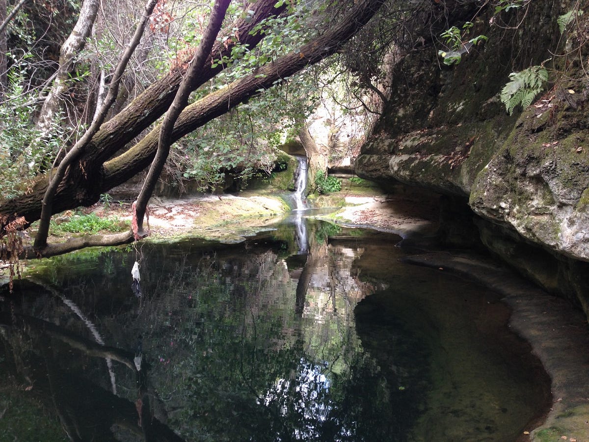 natural lebanon de slăbire natural)