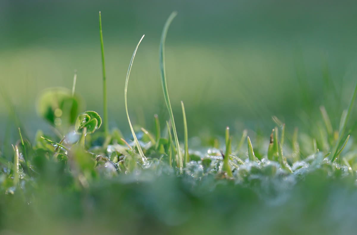 4 Simple Ways To Grow In Christ By Holding To Truth Medium