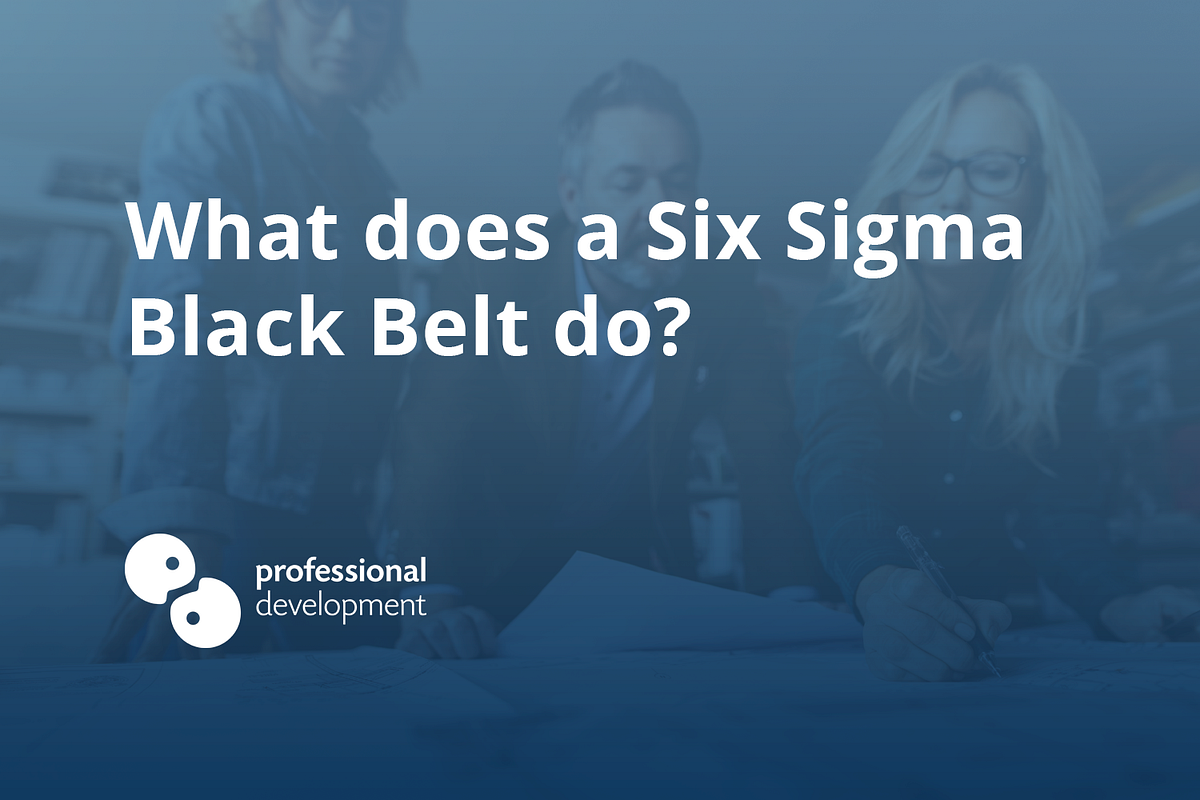 What Do The Six Sigma Belts Mean at Etta Chambers blog