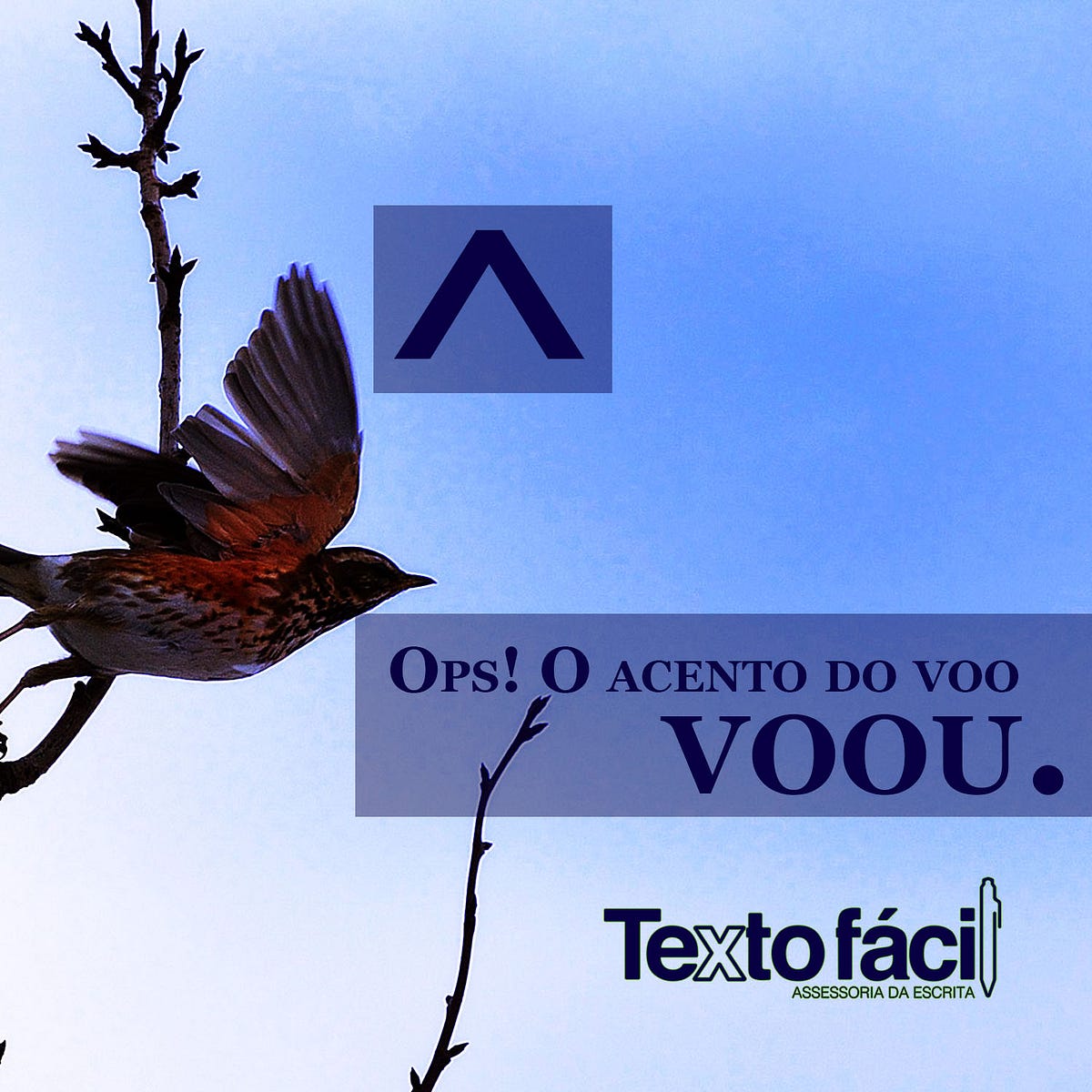 Ops! O acento do voo voou.. Voltando a falar sobre o Novo Acordo… | by ...
