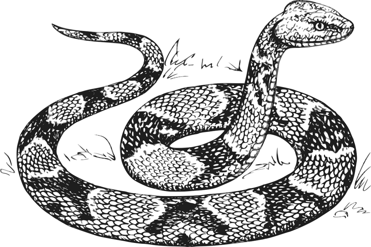 Mathematical notation for python developers part 2 set notation 