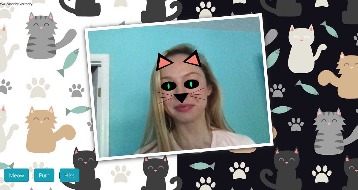 Using ml5.js, p5.js to Turn Myself Into a Cat by Denisa