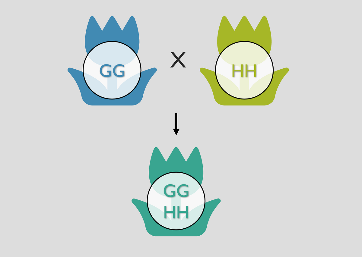 What happens when plants change how many chromosomes they have? by Cleoniki Kesidis Medium