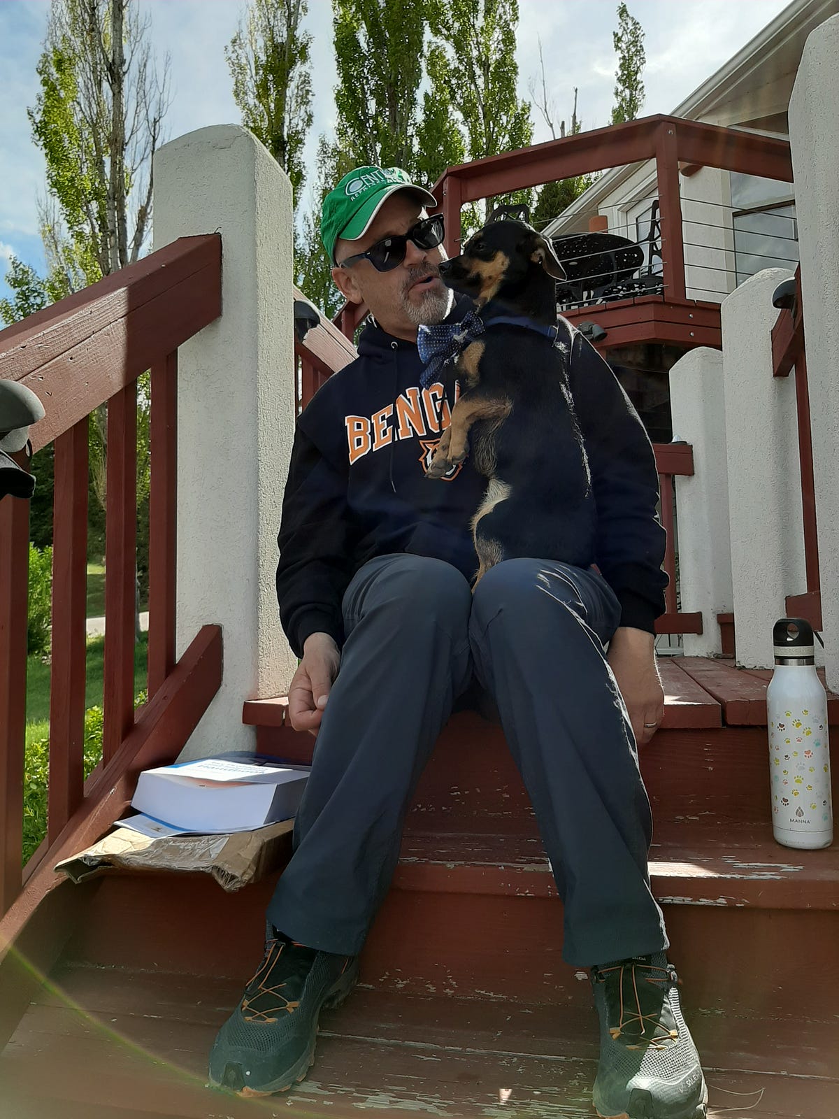 Is it Worth it, Adopting A Dog?. By Emily Konicek, 8/31/2020 by Emily