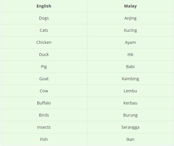25 Captivating Names Of Animal In Malay  by Ling Learn Languages 