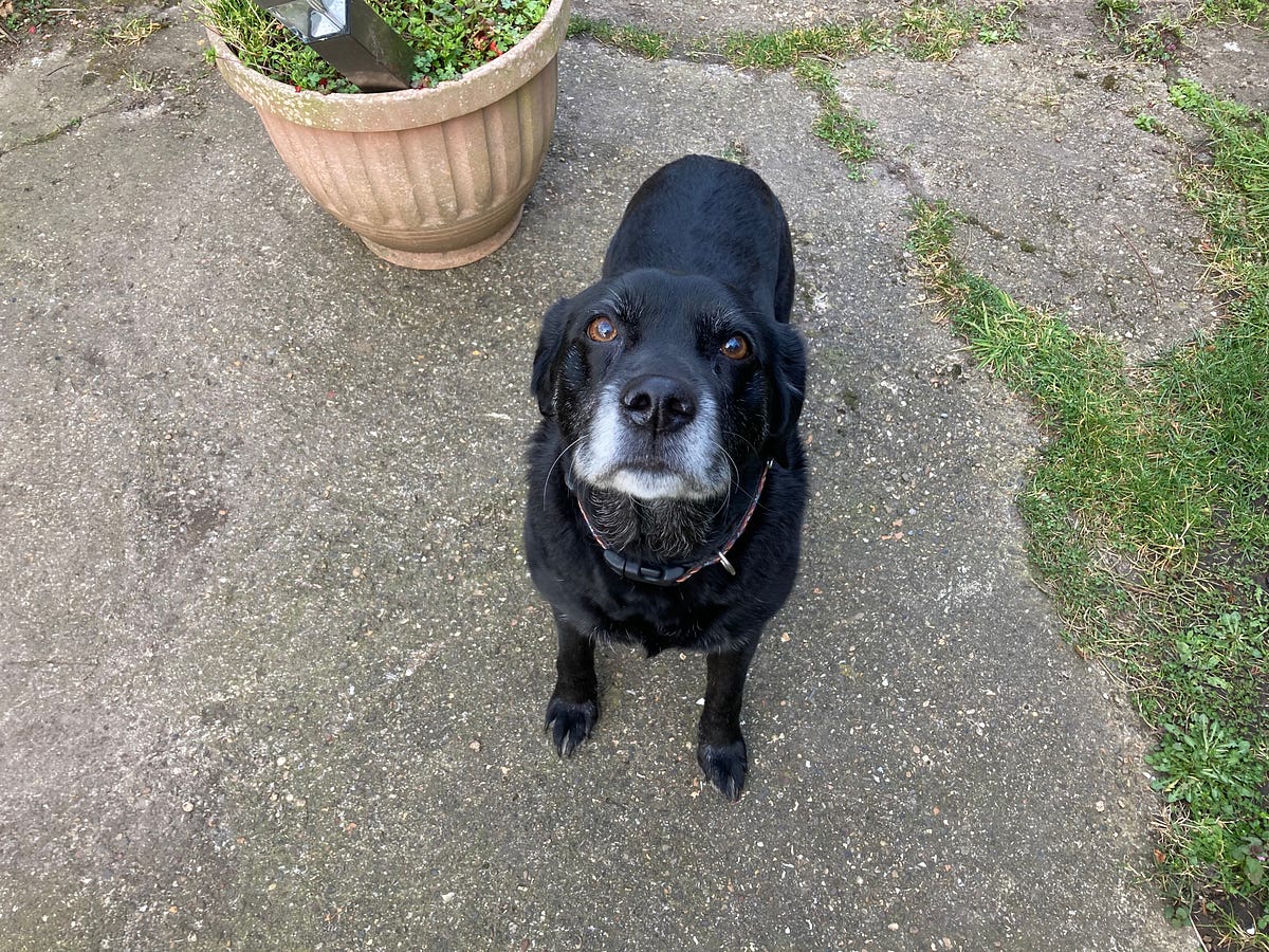 Raw Eggs Make A Coat Shine Penny Grubb Six Word Photo Story Challenge