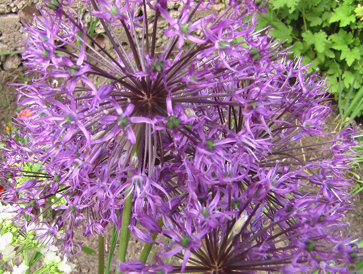 РЕГИСТРАТОР ИНФОРМАЦИИ. Идея хранилища “WikiLeaks может… | by Sergey ...