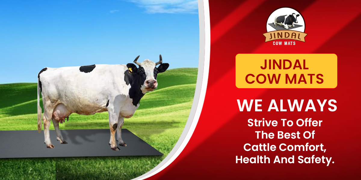 Best Cow Mats In Delhi India Jindal Cow Mat Company