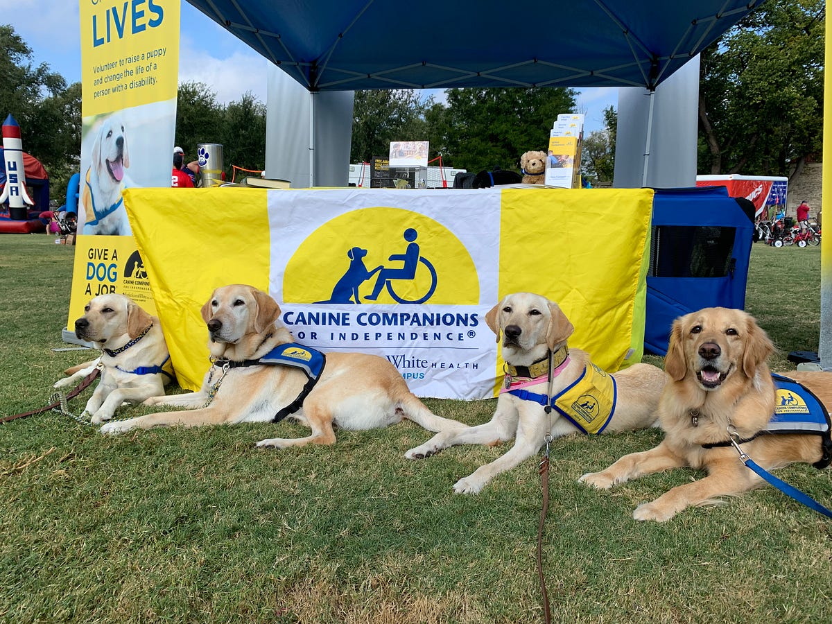 More Than Man’s Best Friend How Service, Therapy and Emotional