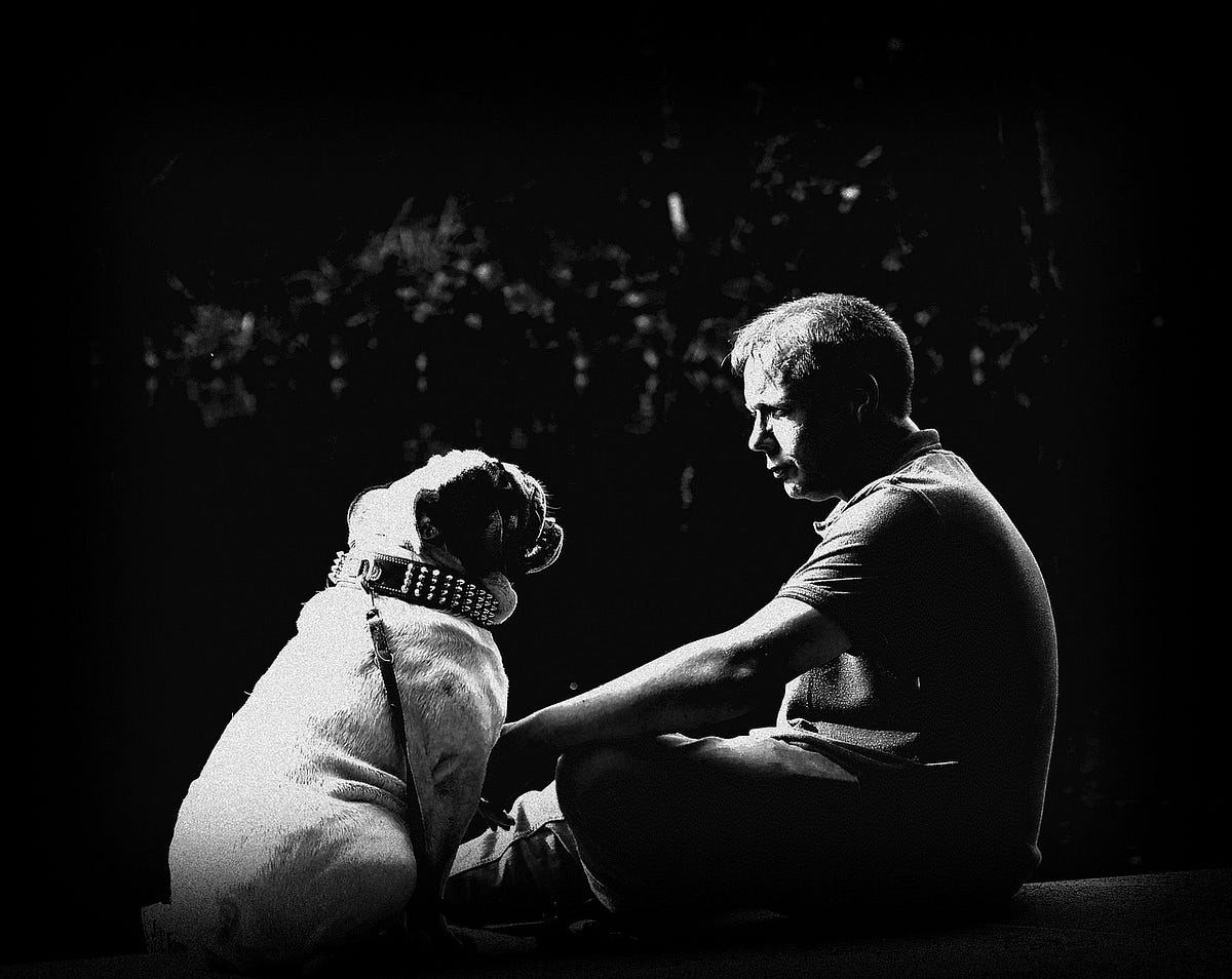 Why Does My Dog Sit On My Feet?. Introduction by Shanon Sandquist