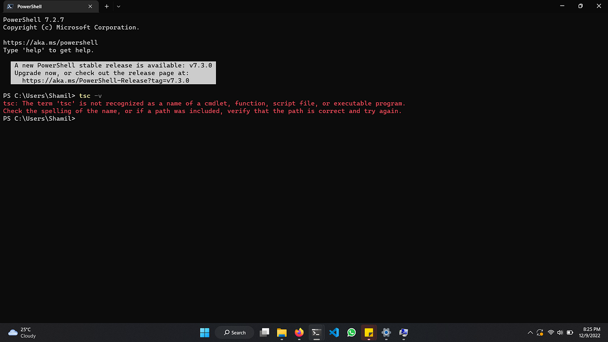 Scratching your head due to “The term ‘tsc’ is not recognized…” error