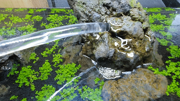 hard aquascape