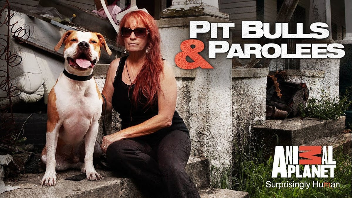 ᴴᴰ 720p 123 Seriess "Pit Bulls and Parolees" 17x3 Se Pit Bulls an...