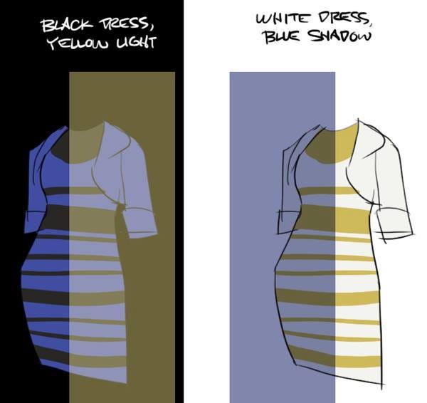 images Trick What Color Is The Dress why the hell are we debating the colors