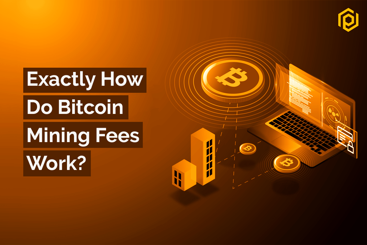 How much can i earn with bitcoin mining