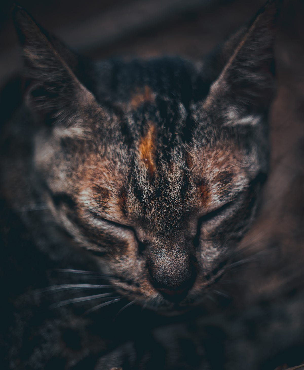 Sandpaper Kisses. A poem about a special love… by Afiyah The Poet