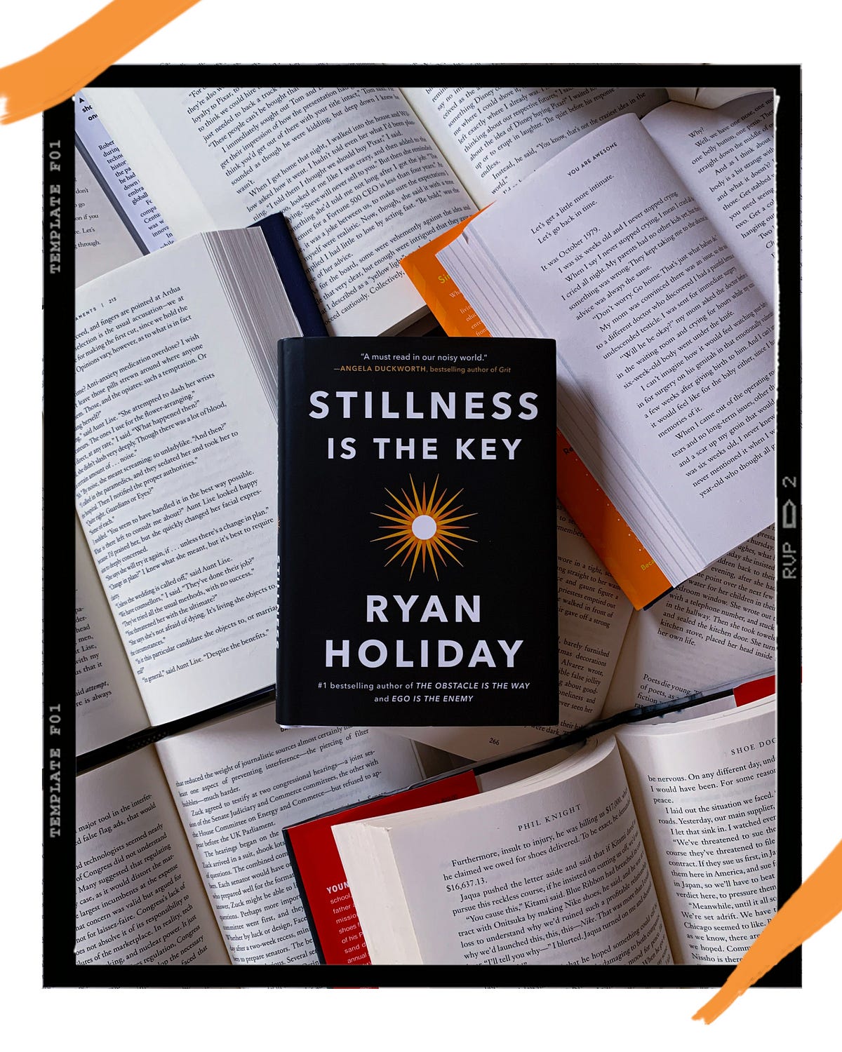 book review stillness is the key
