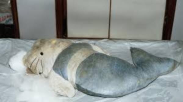 The Hello Kitty Murder Case Her Organs Were Stored In A Fridge By Monica James The Mystery Box Medium