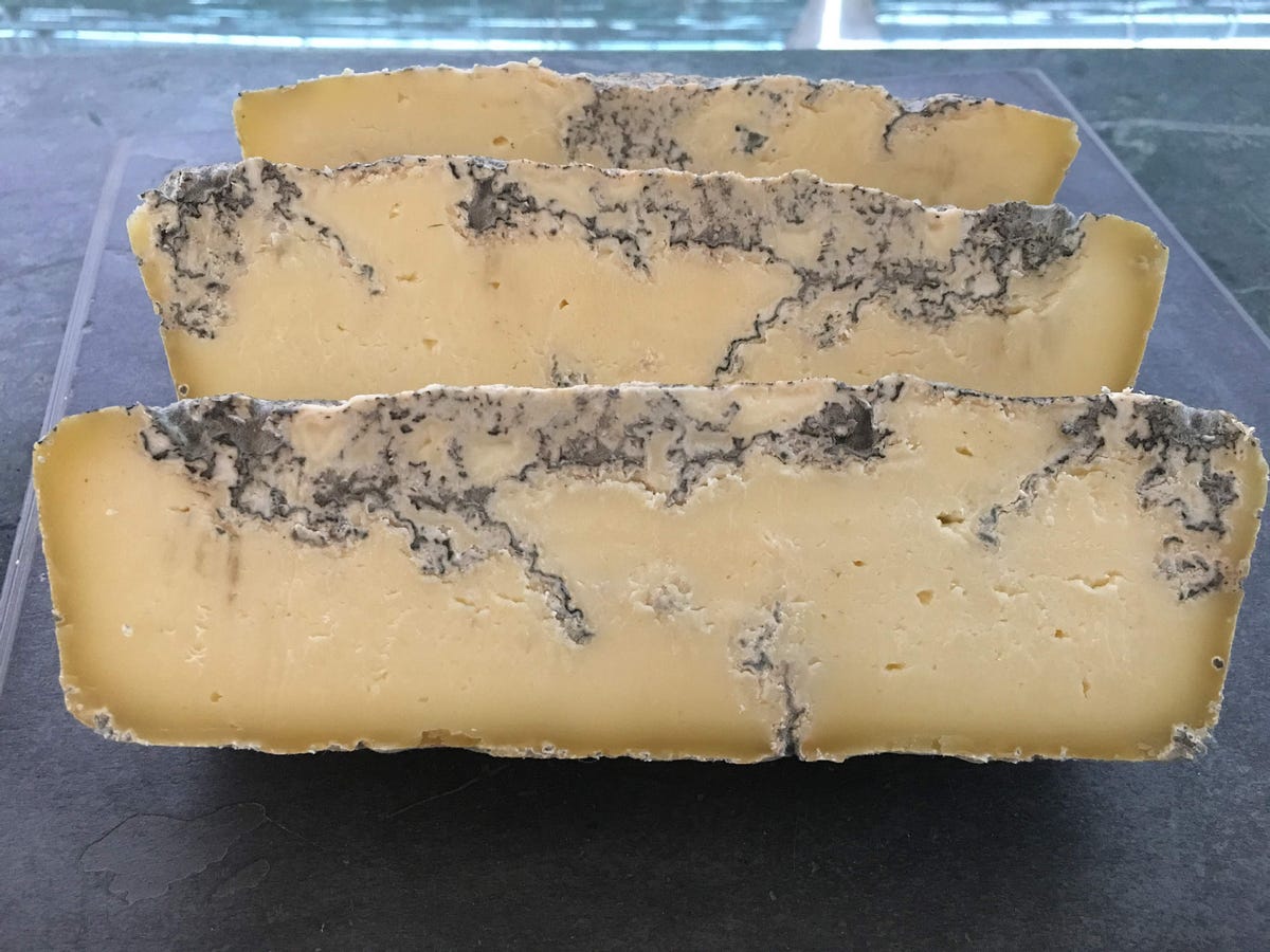 Moldy Cheese. Safe or Unsafe? Pavithrakrishnaprasad Medium