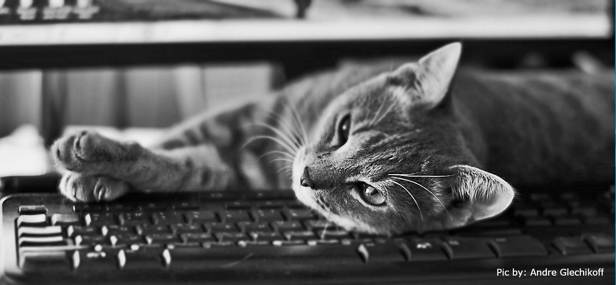 Delete models in products, because sometimes, cats walk on keyboards