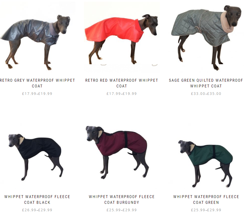Whippet coat colors Clearance