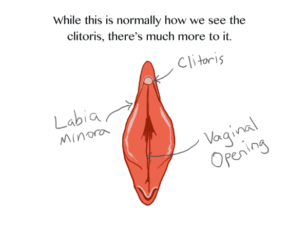 How To Find The Clit