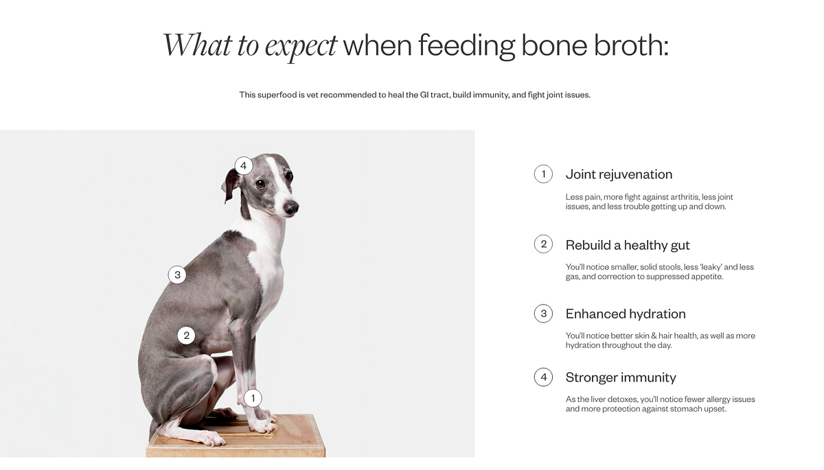 The benefits of bone broth for dogs by Maev Medium