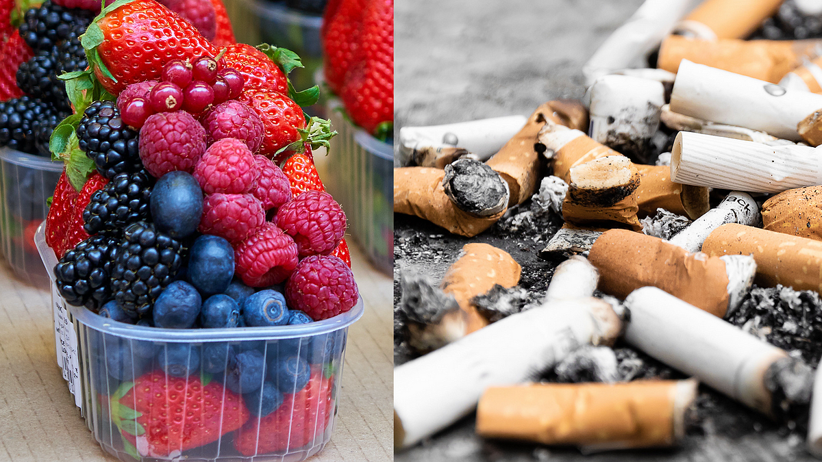 should-i-smoke-cigarettes-or-eat-berries-every-day-flipboard