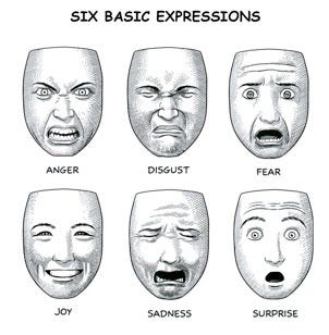 Diagram of facial expression and nonverbals