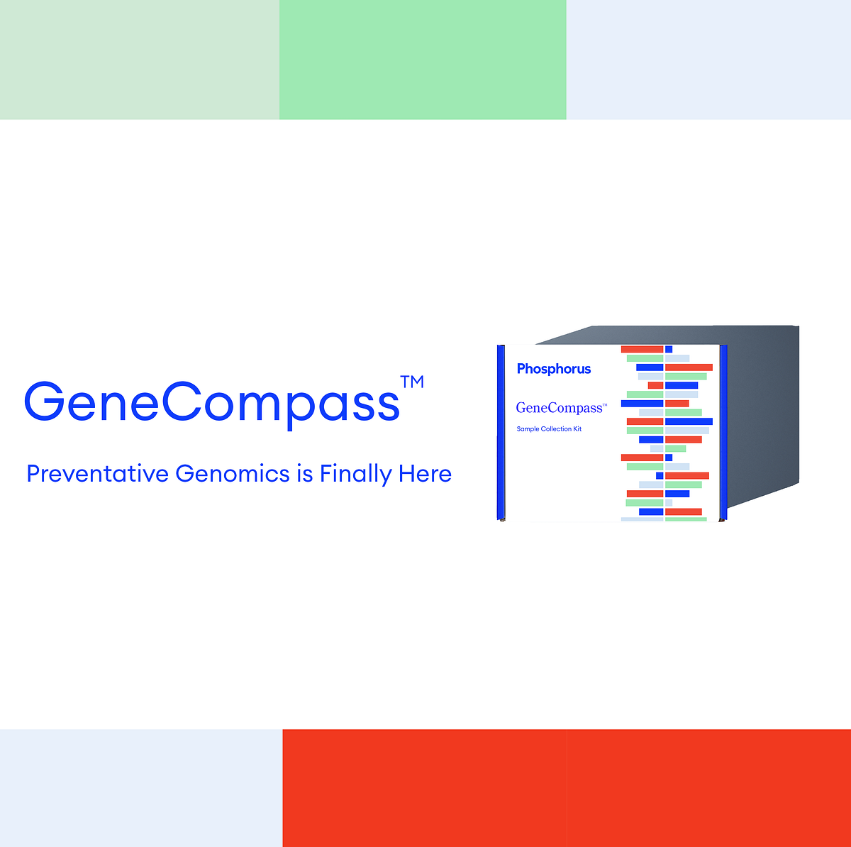 Introducing The First Holistic, MedicalGrade