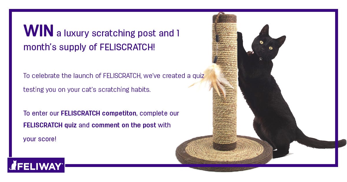 feliway scratching post