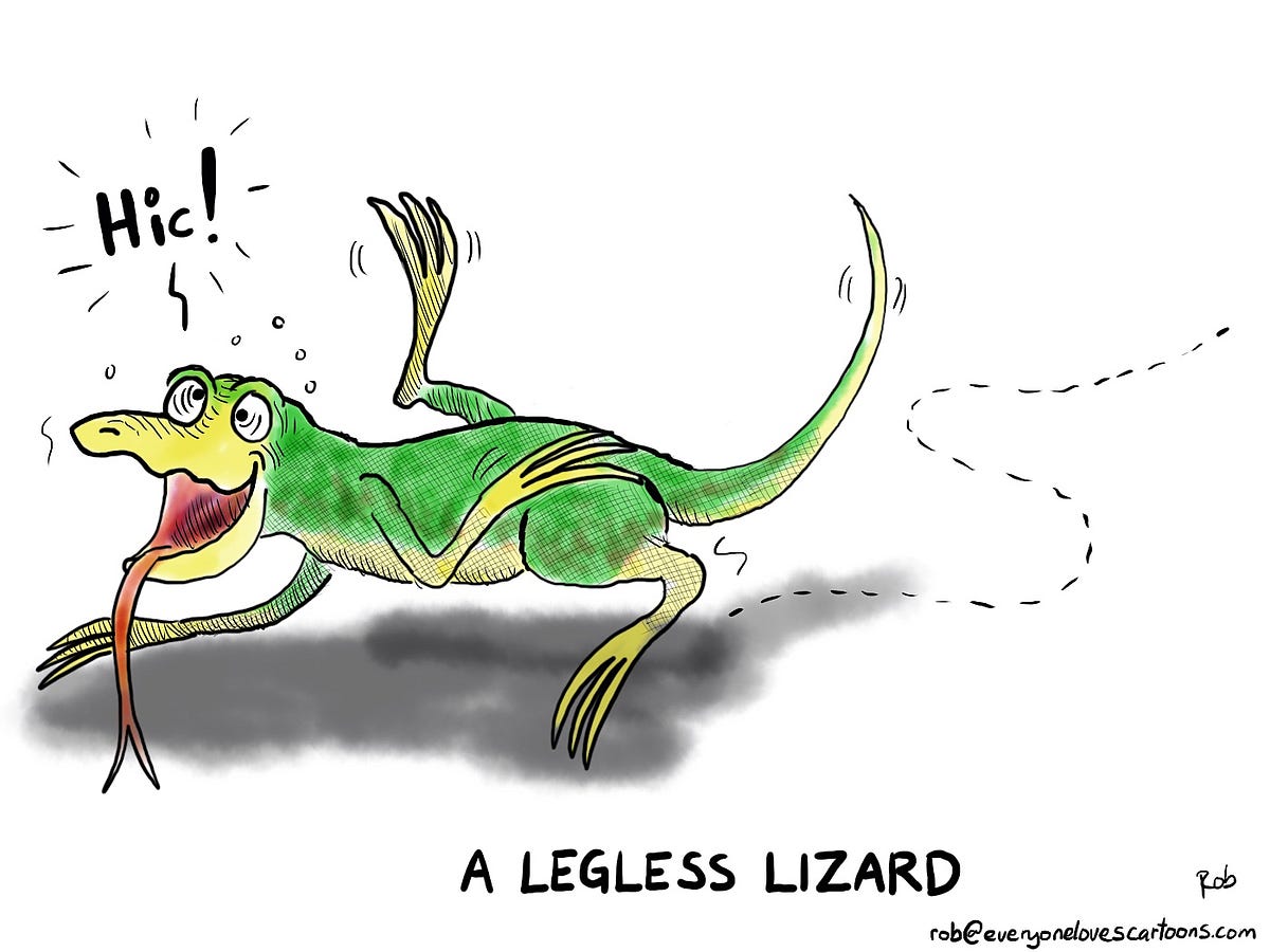 Drawing The Legless Lizard. This is a legless lizard. This green… by