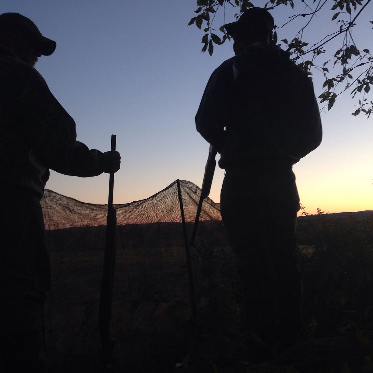 Early Morning Hunt. Even though we didn’t get any birds, it… by