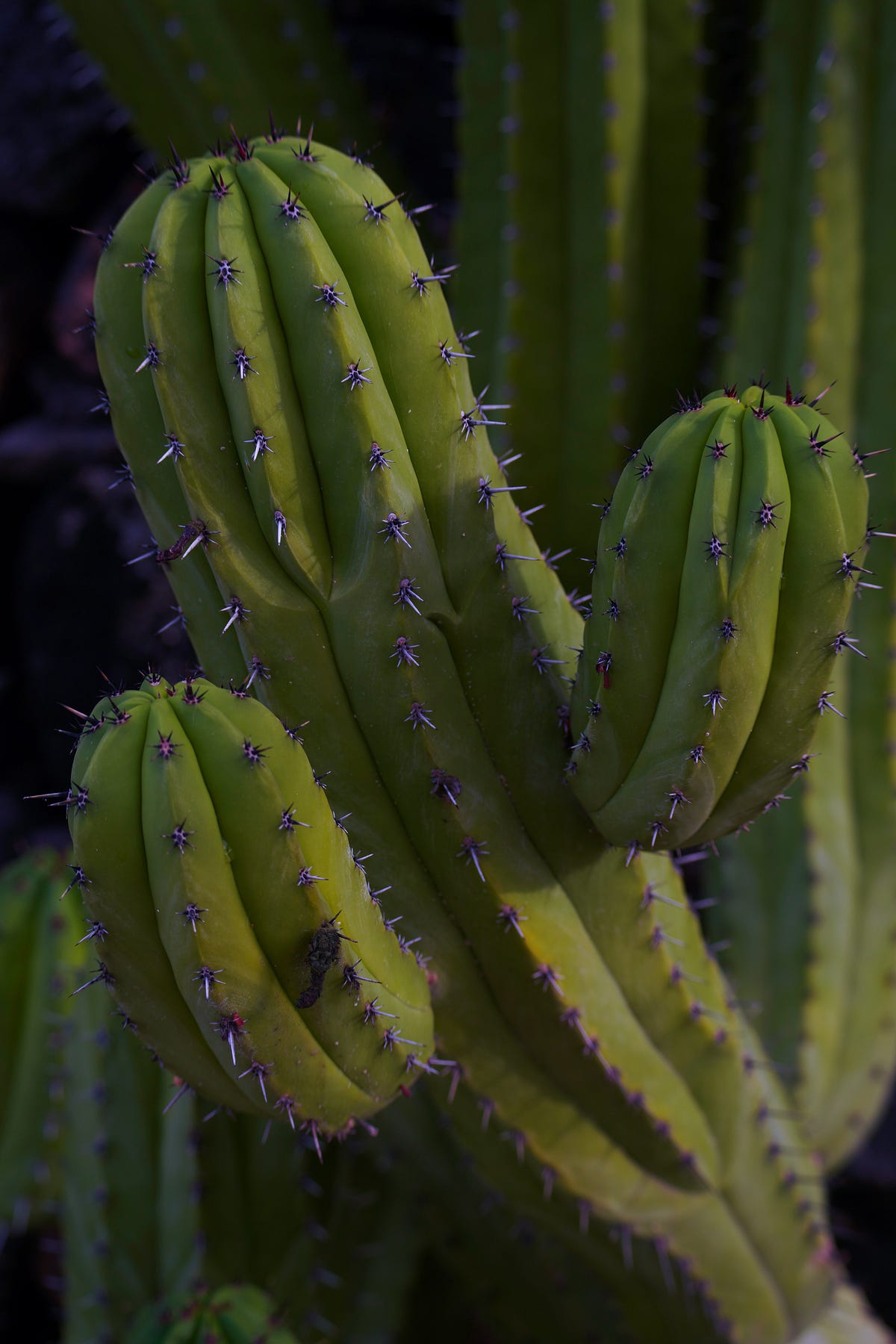 Best Practices for Data Visualization: A Guide to Creating Effective ...