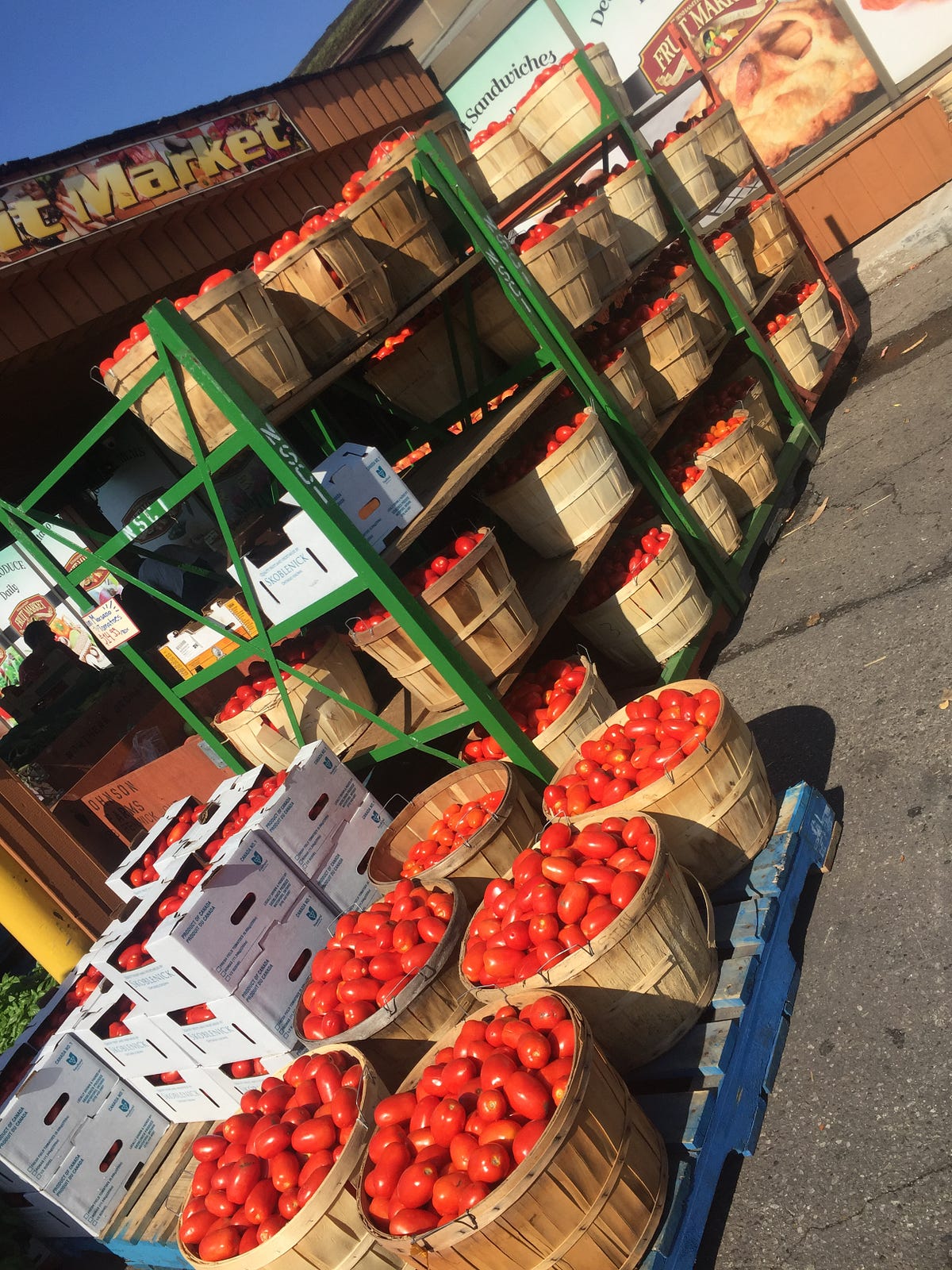 Turning a bushel of tomatoes into beautiful sauce! by Mark