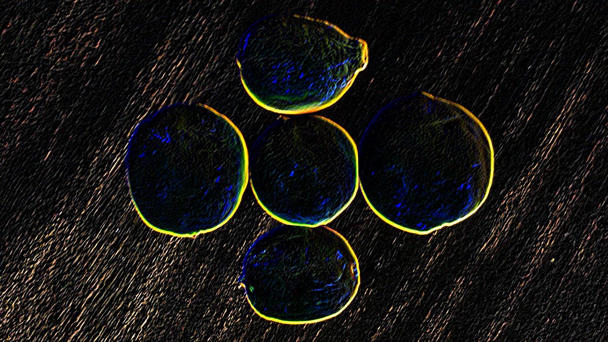 When life gives you lemons…. Be grateful. Scurvy is real and you… by