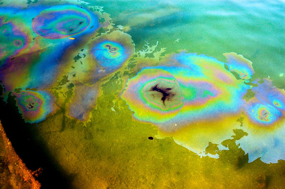 Shut Down Red Hill The Navy poisoned the water in Hawaii by Coll