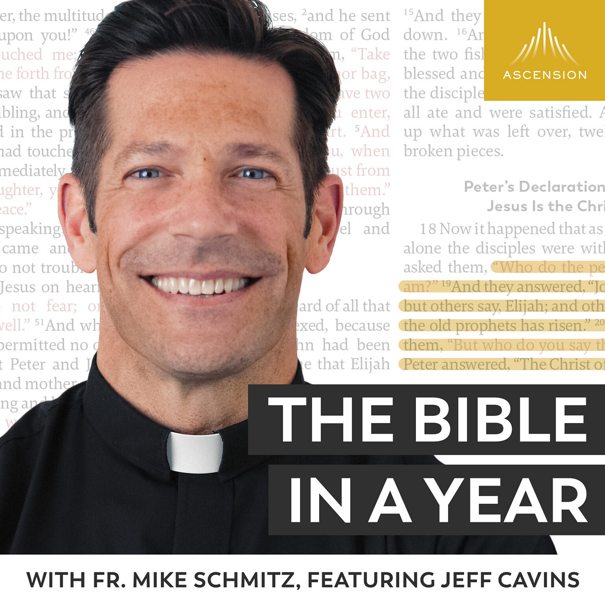 Why We re All In For The Bible In A Year Podcast Great Adventure Why We re All In For The Bible In A Year Podcast Great Adventure