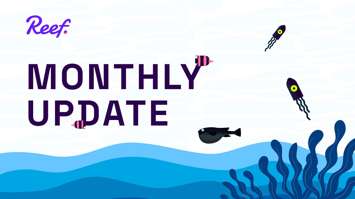 Reef Monthly Update May 2021