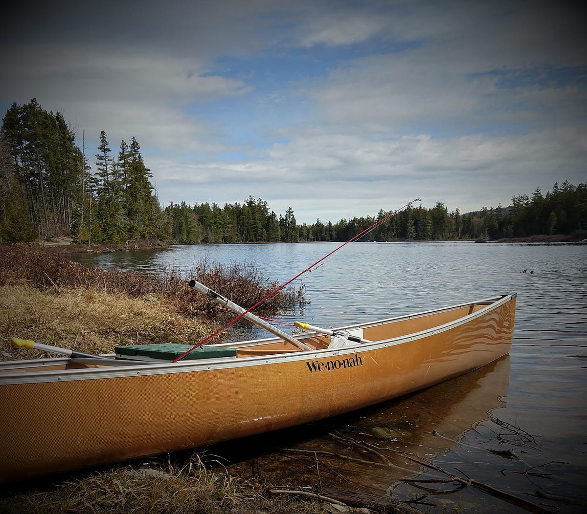 On Trout Pond Brian Emery Medium