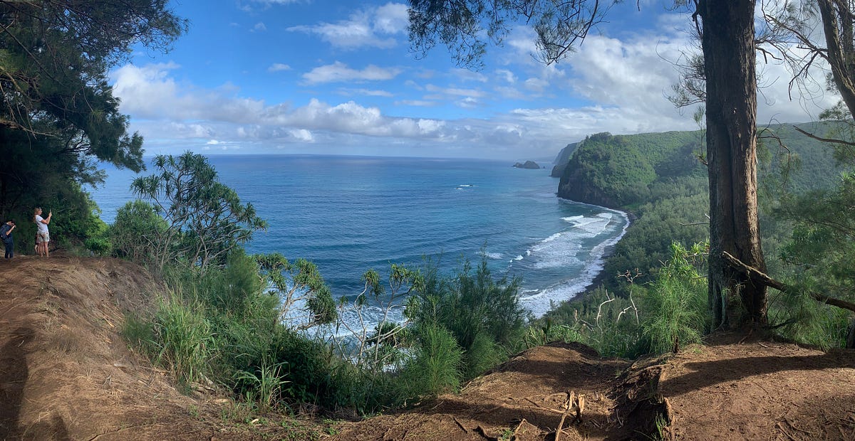 Quarantined in Paradise How I’ve survived 50+ days unemployed in