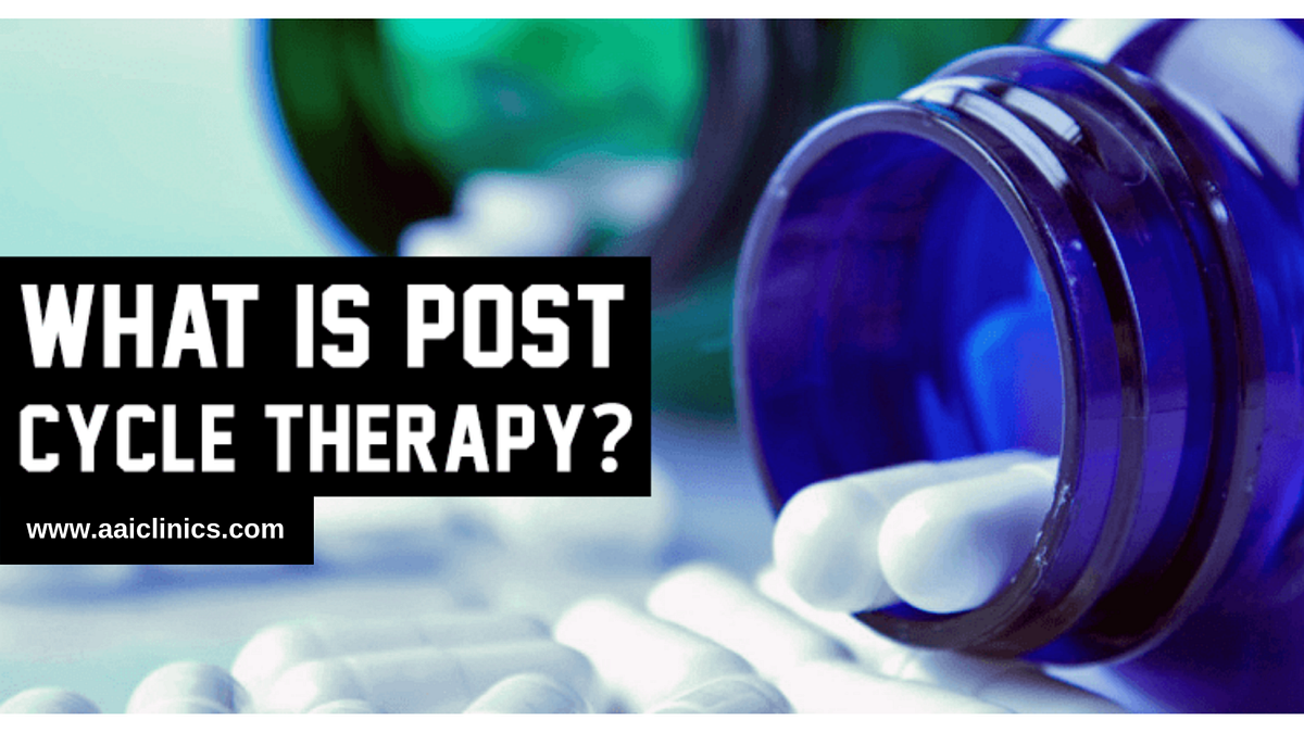 What is Post Cycle Therapy (PCT). Introduction To Post Cycle Therapy