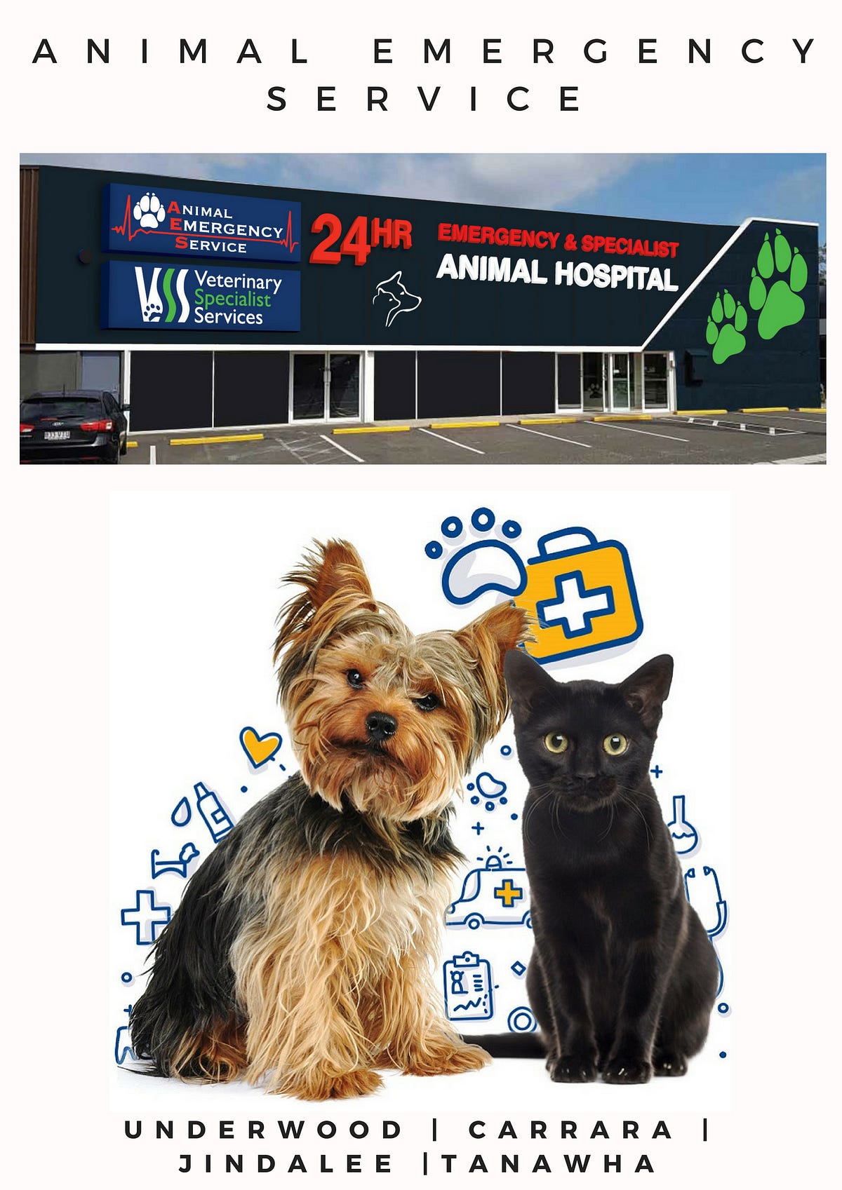 specialist veterinary hospital