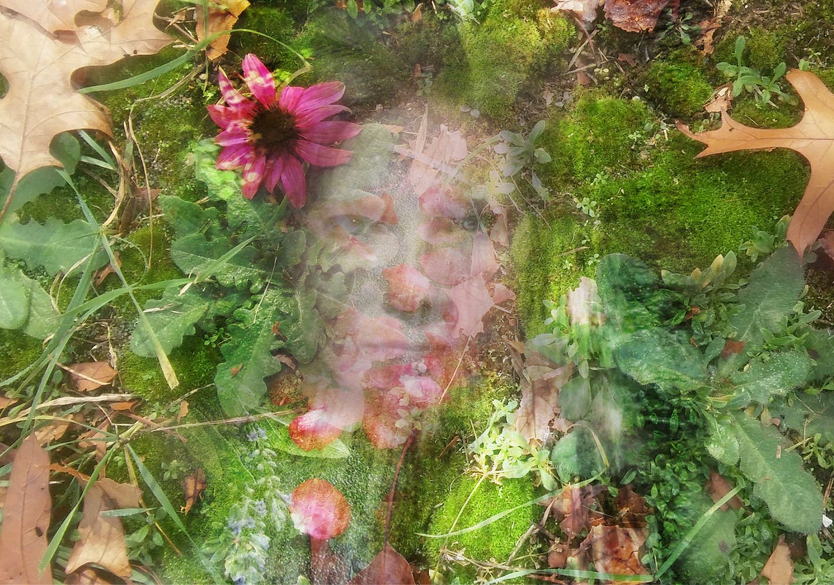 The Damaged Soul. Faint whispers remain by Rhonda Skinner a Few